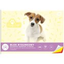 Blok rysunkowy Interdruk bloki A4 kolorowy 80g 20k [mm:] 210x297 (BLRK)