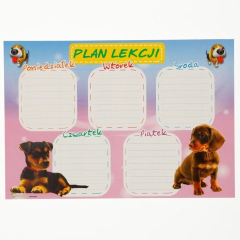 Plan lekcji Polsyr Plan lekcji Polsyr