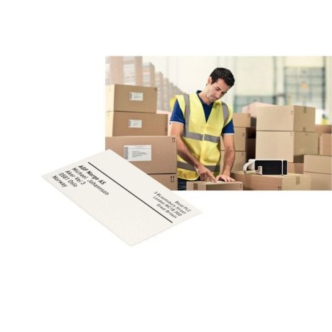 Taśma do drukarki etykiet Icon 102 102x59 [mm x m] biały Leitz (70130001)