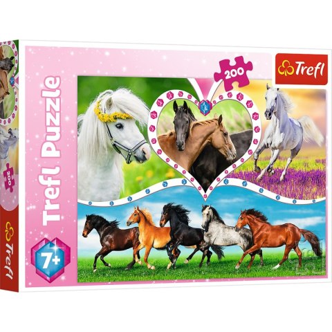 Puzzle Trefl Piękne konie 200 el. (13248) Puzzle Trefl Piękne konie 200 el. (13248)