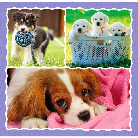 Puzzle Trefl 4w1 el. (34854) Puzzle Trefl 4w1 el. (34854)