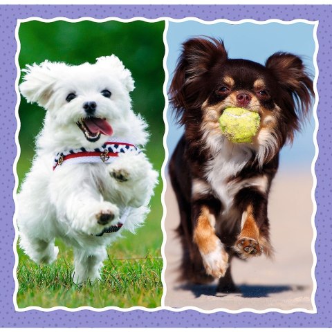 Puzzle Trefl 4w1 el. (34854) Puzzle Trefl 4w1 el. (34854)