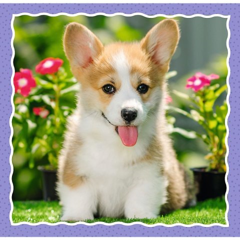 Puzzle Trefl 4w1 el. (34854) Puzzle Trefl 4w1 el. (34854)