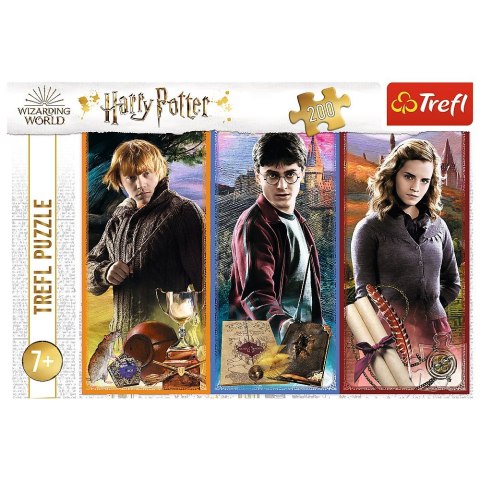 Puzzle Trefl W świecie magii i czarów 200 el. (13277) Puzzle Trefl W świecie magii i czarów 200 el. (13277)