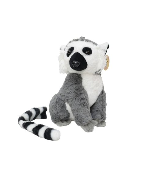 Pluszak Deef lemur (3766) Pluszak Deef lemur (3766)