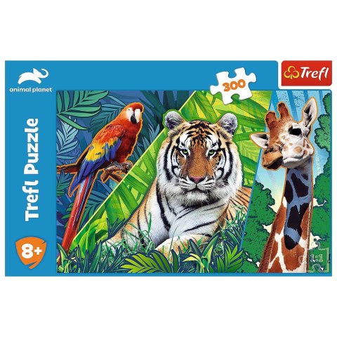 Puzzle Trefl 300 el. (23007) Puzzle Trefl 300 el. (23007)