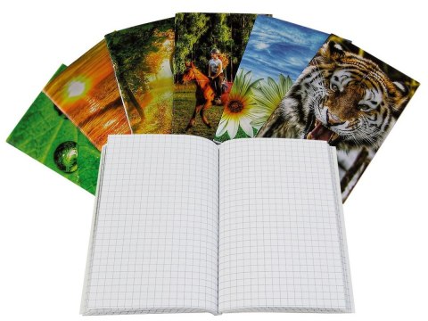 Notes (notatnik) A6 60k. krata [mm:] 100x145 Warta (120-012)