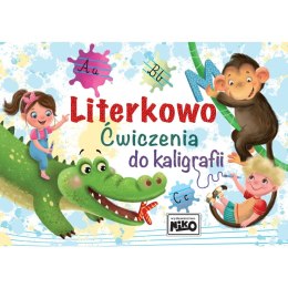 Książeczka edukacyjna Literkowo. Ćwiczenia do kaligrafii. Niko