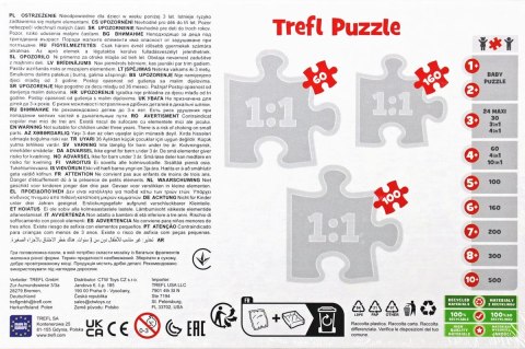 Puzzle Trefl Sonic 60 el. (17387) Puzzle Trefl Sonic 60 el. (17387)