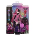 Lalka Mattel Monster High podstawowa (HPD53)