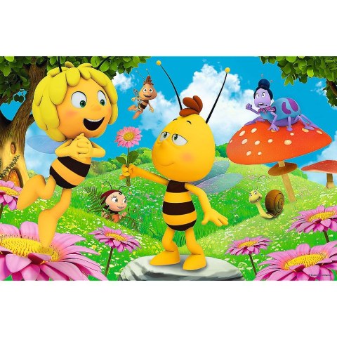 Puzzle Trefl 60 el. (17330) Puzzle Trefl 60 el. (17330)