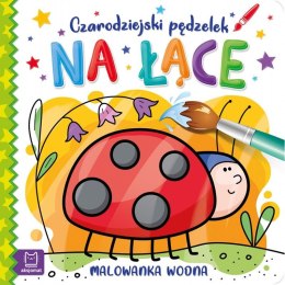 Książeczka edukacyjna Aksjomat Czarodziejski pędzelek. Na łące. Malowanka wodna (3202)