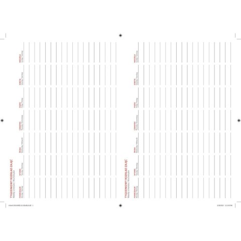 Kalendarz książkowy (terminarz) Avanti M-CZNY PLAN ZAJĘĆ terminarz A5 A5 (MPZ)
