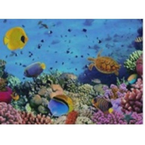Zestaw kreatywny Norimpex Diamentowa mozaika kolorowa rafa 40x30cm (NO-1004935) Zestaw kreatywny Norimpex Diamentowa mozaika kolorowa rafa 40x30cm (NO-1004935)