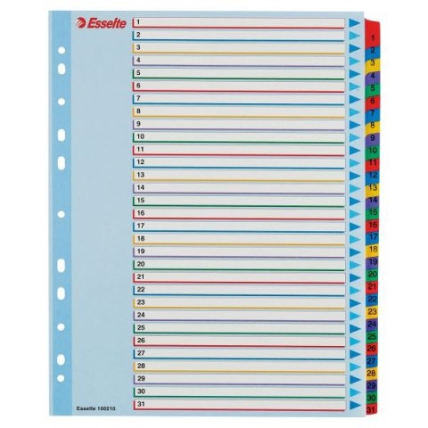 Przekładka numeryczna Esselte Mylar maxi A4 mix kolorów 160g 31k 1-31 (100210)