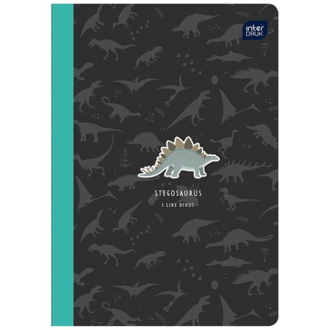 Zeszyt A5 16k. 70g czysty Interdruk (ZE16KFG)