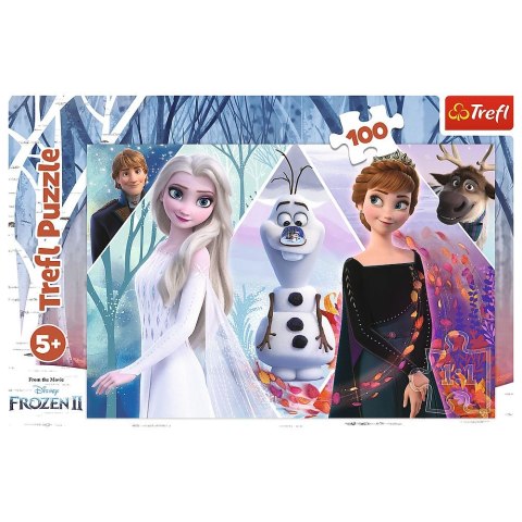 Puzzle Trefl Zaczarowana Kraina 100 el. (16418) Puzzle Trefl Zaczarowana Kraina 100 el. (16418)
