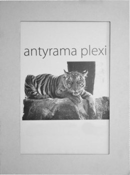 Antyrama plexi plexi [mm:] 600x800 Raw-West