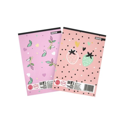 Notes (notatnik) dziewczynka A6 30k. [mm:] 102x148 Rexus