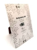 Antyrama M-interio plexi plexi [mm:] 210x297