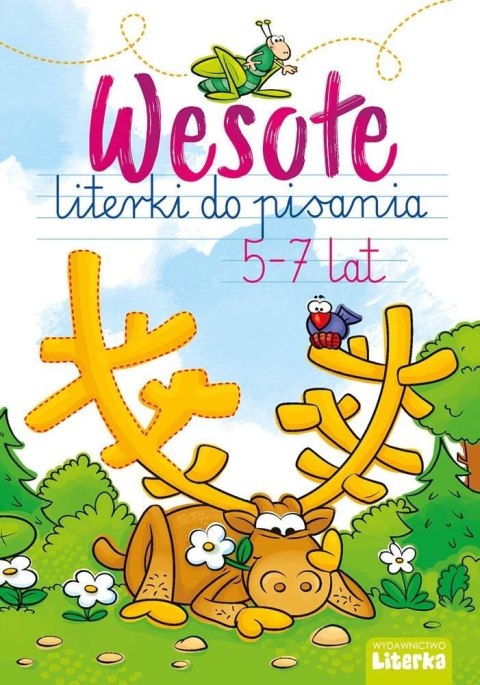 Książeczka edukacyjna Literka WESOŁE LITERKI DO PISANIA 5-7 LAT