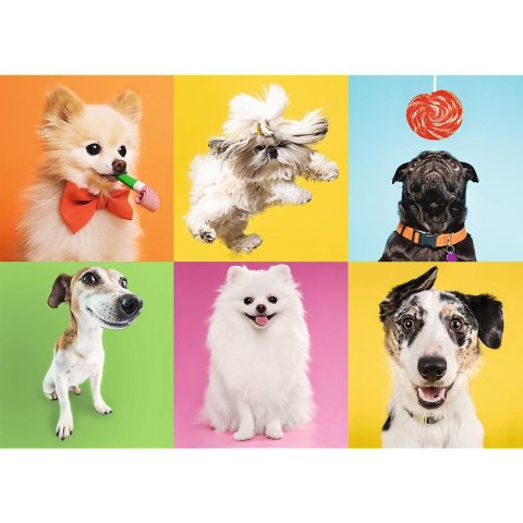 Puzzle Trefl Psy 500 el. (37378) Puzzle Trefl Psy 500 el. (37378)