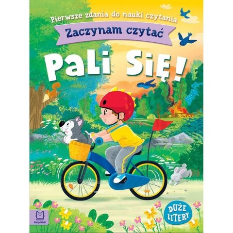 Książeczka edukacyjna Aksjomat Zaczynam czytać. Duże litery. Pierwsze zdania do nauki czytania. Pali się! Książeczka edukacyjna Aksjomat Zaczynam czytać. Duże litery. Pierwsze zdania do nauki czytania. Pali się!