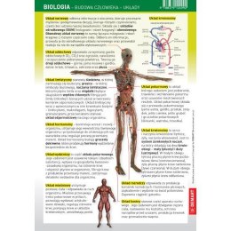 Książeczka edukacyjna Ściągawka - Biologia - człowiek (układy) Demart