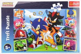 Puzzle Trefl Sonic 100 el. (16465)