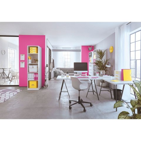 Teczka plastikowa WOW Leitz (46290016) Teczka plastikowa WOW Leitz (46290016)