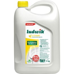 Płyn do naczyń płyn do naczyń cytrynowy 5000ml Ludwik