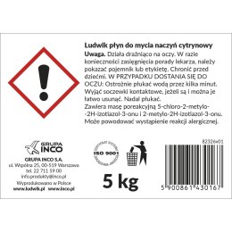 Płyn do naczyń płyn do naczyń cytrynowy 5000ml Ludwik