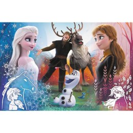 Puzzle Trefl Frozen 2 300 el. (23006)