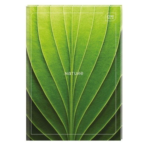Brulion Interdruk A4 96k. 70g czysty (BRA496G) Brulion Interdruk A4 96k. 70g czysty (BRA496G)