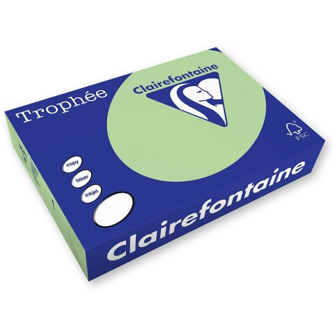 Papier kolorowy Trophee kolorowy A4 zielony trawowy 160g (xca41107)