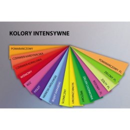 Papier kolorowy Trophee kolorowy A4 zielony fluorescencyjny 80g (xca42975)