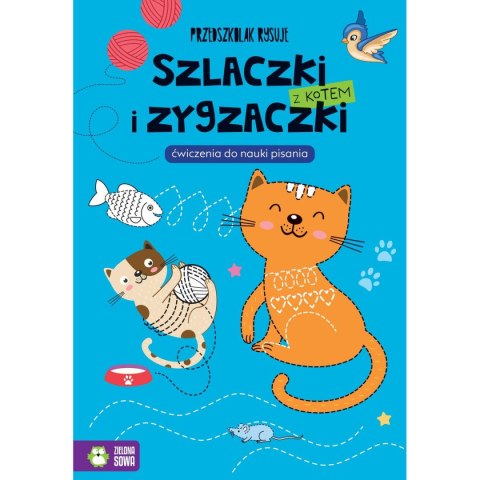 Książeczka edukacyjna Zielona Sowa Przedszkolak rysuje. Szlaczki i zygzaczki z kotem