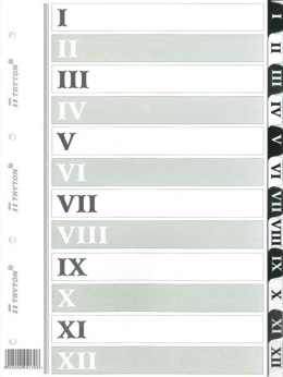 Przekładka numeryczna Tryton A4 biała 170g 12k I-XII (170)