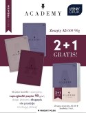 Zeszyt Interdruk ACADEMY zest zeszytów A5/60# 3szt 2+1 A5 60k. 90g krata (5902277347541)