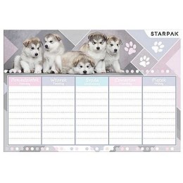 Plan lekcji Cuties Starpak (409084)