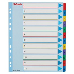 Przekładka numeryczna Esselte MYLAR A4 mix kolorów 160g 12k 1-12 (100209)