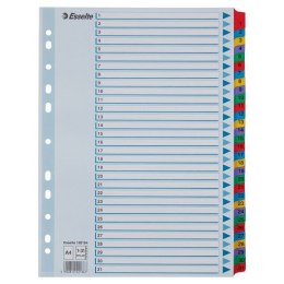 Przekładka numeryczna Esselte Mylar kartonowe A4 mix kolorów 160g 31k 1-31 (100164)