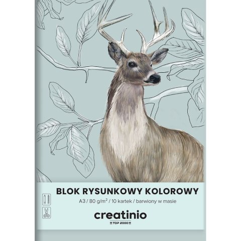 Blok rysunkowy Top 2000 Creatinio A3 kolorowy 80g 10k (400176666)