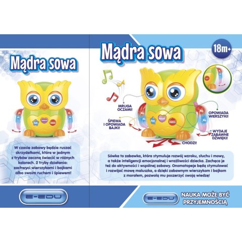 Pluszak interaktywny Artyk sowa (129971) Pluszak interaktywny Artyk sowa (129971)