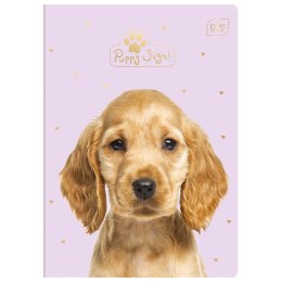 Zeszyt Interdruk Puppy Sign A5 16k. 70g krata [mm:] 148x210 (ZE16#PS)