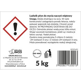 Płyn do naczyń mięta 5000ml Ludwik