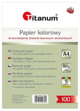 Papier ksero intensywny A4 mix 100k. 80g Flamingo