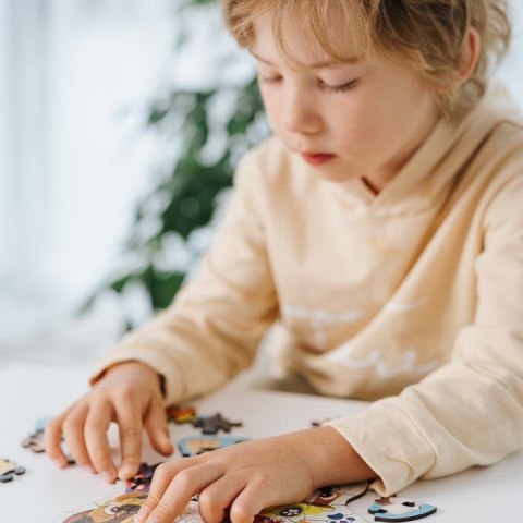 Puzzle Trefl Sonic Drewniane Sprytny Sonic (20203) Puzzle Trefl Sonic Drewniane Sprytny Sonic (20203)