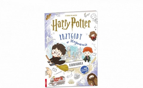 Książka dla dzieci Ameet WIZARDING WORLD™. PRZYGODY W HOGWARCIE (CBT 5101)