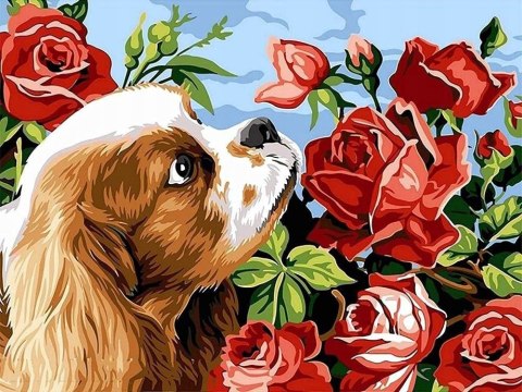 Zestaw kreatywny Norimpex malowanie po numerach - piesek z różami 40x50cm (NO-1006970) Zestaw kreatywny Norimpex malowanie po numerach - piesek z różami 40x50cm (NO-1006970)